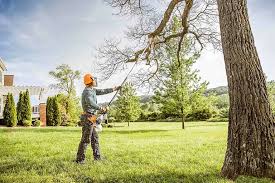 Best Commercial Tree Services  in Dumbarton, VA